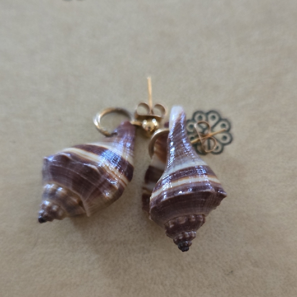 Elegant Shell Drop Earrings